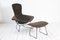 Bird Chair & Ottoman from Harry Bertoia for Knoll International, Set of 2 1