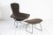 Bird Chair & Ottoman von Harry Bertoia für Knoll International, 2er Set 1