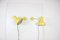 Wall Lamps attributed to Josef Hurka for Napako, 1960s, Set of 2, Image 2