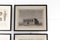 Napoleon's scientific voyage to Egypt, 19th Century, Etchings, Framed, Set of 4 3