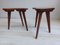 Vintage Side Table in Mahogany, 1960s, Set of 2 2