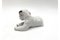 Porcelain Figurine Cavalier Dog from Rosenthal, Germany, 1920s 5