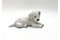 Porcelain Figurine Cavalier Dog from Rosenthal, Germany, 1920s 2