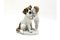 Figurina in porcellana con cane di Rosenthal, Germania, anni '40, Immagine 4