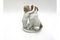 Porcelain Figurine Child with a Dog from Rosenthal, Germany, 1940s 5