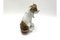 Porcelain Figurine Child with a Dog from Rosenthal, Germany, 1940s, Image 3