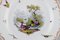 Plato de porcelana con pájaros e insectos pintados a mano de Meissen, Imagen 2