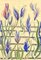 Jean Mary Ogilvie, Art Deco Flowering Waterweed Design, 1930er Jahre, Gouache Gemälde 1