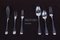 Silver Cutlery for 12 People from Keltum Koninklijke Van Kempen & Begeer, 1950s, Set of 203, Image 10