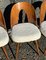 Czechoslovakian Chairs by Antonín Šuman for Tatra, 1960s, Set of 4 6
