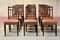 English Mahogany & Leatherette Dining Chairs, 19th Century, Set of 12 1