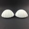 Opaline Glass Shell-Shaped Wall Lights from Limburg, Germany, 1970s, Set of 2 12