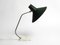 Lampe de Bureau Minimaliste Mid-Century avec Finition Verte de Sis, 1950s 3