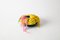 Poggiapiedi Ulterior Form 5 multicolore di Tamika Rivera, Immagine 4