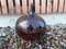 Antique Brown Blown Glass Bottle, Image 5