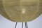 Coccon-Shaped Three-Legged Floor Lamp, 1950s, Image 13