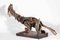 Lorenzo Serval, Wounded Namure, 2000, Wooden Sculpture 3