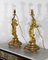 Louis XVI Lampe aus vergoldeter Bronze, 2er Set 3