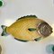 Shorter Fish Plates, Fish Serving Dish & Sauce Jug, Set of 8, Image 6