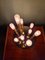Messing Deckenlampe mit 9 Leuchten von Gaetano Sciolari für Boulanger, 1970er 14