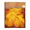 Orange Abstract Rug from Desso, 1970s 4