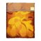 Orangefarbener abstrakter Teppich von Desso, 1970er 4