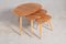 Mid-Century Pebble Elm and Beech Nesting Tables from Ercol, 1960s, Set of 3 2