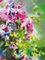 Zigmunds Snore, Bright Summer Flowers, 2020, Acquerello su carta, Immagine 4