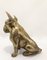 Messing Bulldogge Skulptur aus Messing, 1970 5