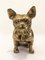 Messing Bulldogge Skulptur aus Messing, 1970 1