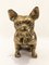 Scultura Bulldog in ottone, anni '70, Immagine 1