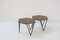 Hexagonal Coffee Tables by Gio Ponti for ISA Bergamo, 1950s, Set of 2, Image 4