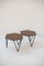 Tables Basses Hexagonales par Gio Ponti pour ISA Bergamo, 1950s, Set de 2 2