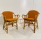 Rattan Garden Chairs, 1960s, Set of 2 3