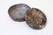 Black Yugen No. 4 Bowl in Stonewares by Yusuké Y. Offhause, Image 3