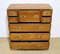 Late 19th Century Camphor Military Chest 4