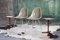 1st Edition Greige Fiberglass Shell Chair by Eames for Herman Miller , 1950s 3