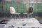 1st Edition Greige Fiberglass Shell Chair by Eames for Herman Miller , 1950s 2