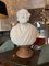 Achille Casoni, Classical Statuary Bust, 1870, Marble, Image 3