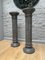 Säulen aus schwarzem belgischem Fossil Marmor, 2er Set 5