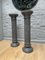 Columns in Black Belgian Fossil Marble, Set of 2 4