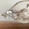 Cuenco francés de cristal de hielo con motivos de caracol, años 60, Imagen 10