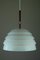 Lamingo T325 Ceiling Lamp by Hans-Agne Jakobsson for Ab Ellysett Markaryd, 1950s 1