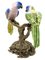 Figurine Perroquet en Porcelaine sur une Branche en Bronze Doré, 1970s 5