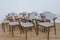 Oak Model 42 Dining Chairs by Kai Kristiansen for Schou Andersen, 1960s, Set of 8 7