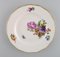 Special Flower Version Saxon Porcelain Plates from Royal Copenhagen, 1890s, Set of 9 4