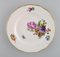 Special Flower Version Saxon Porcelain Plates from Royal Copenhagen, 1890s, Set of 9, Image 4