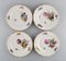 Special Flower Version Saxon Porcelain Plates from Royal Copenhagen, 1890s, Set of 9 2