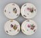 Special Flower Version Saxon Porcelain Plates from Royal Copenhagen, 1890s, Set of 9, Image 2