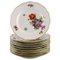 Special Flower Version Saxon Porcelain Plates from Royal Copenhagen, 1890s, Set of 9 1